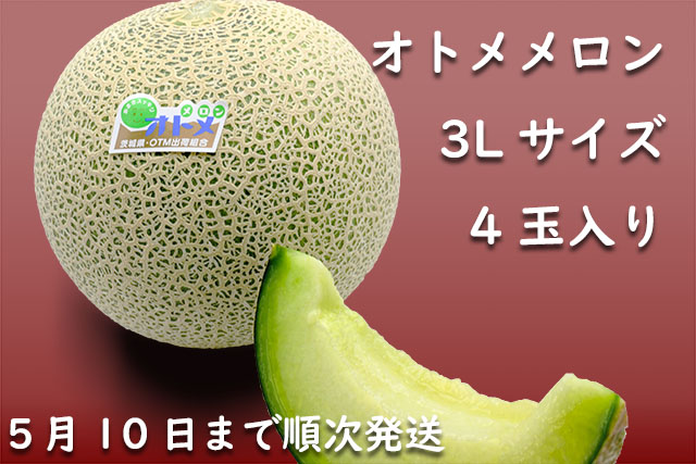 オトメメロン3Ｌ　4玉入り　5月上旬[melon3l-4]